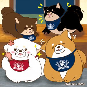 4コマ漫画 もちっと忠犬もちしば 書籍化が決定 おしらせ 忠犬もちしば まんまる体型の柴犬