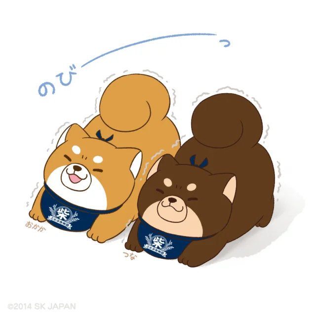 もちしばフォトギャラリー - 忠犬もちしば｜まんまる体型の犬