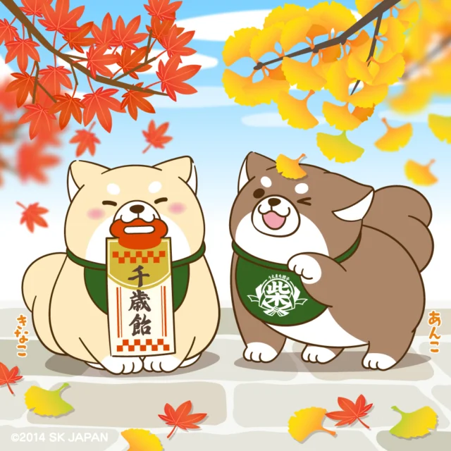 もちしばフォトギャラリー - 忠犬もちしば｜まんまる体型の犬キャラクター