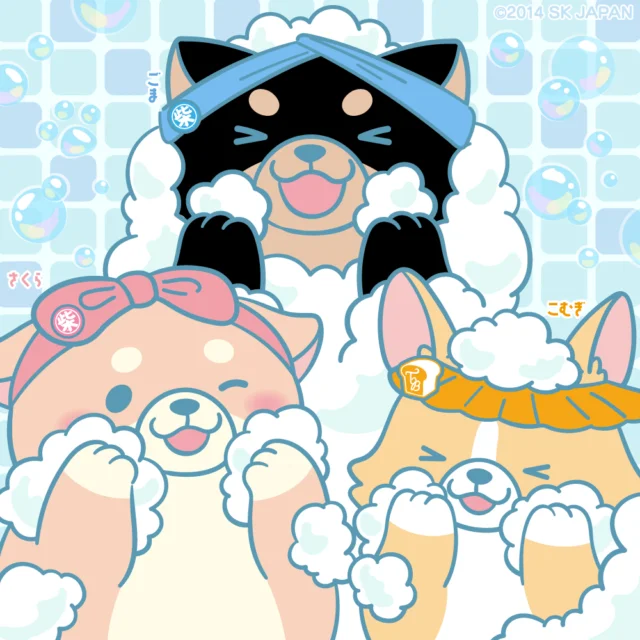 もちしばフォトギャラリー - 忠犬もちしば｜まんまる体型の犬キャラクター